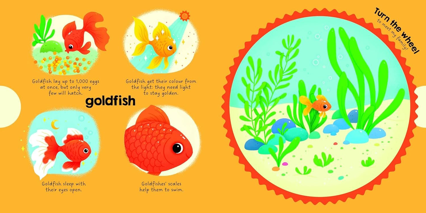 My Magic Wheel: Animals Around Me