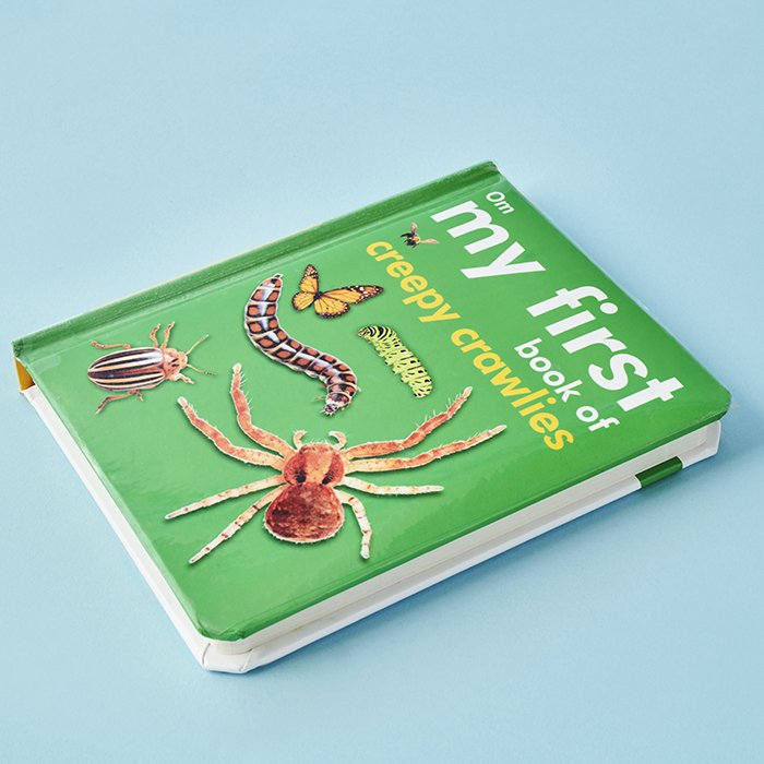 My First Book of Creepy Crawlies