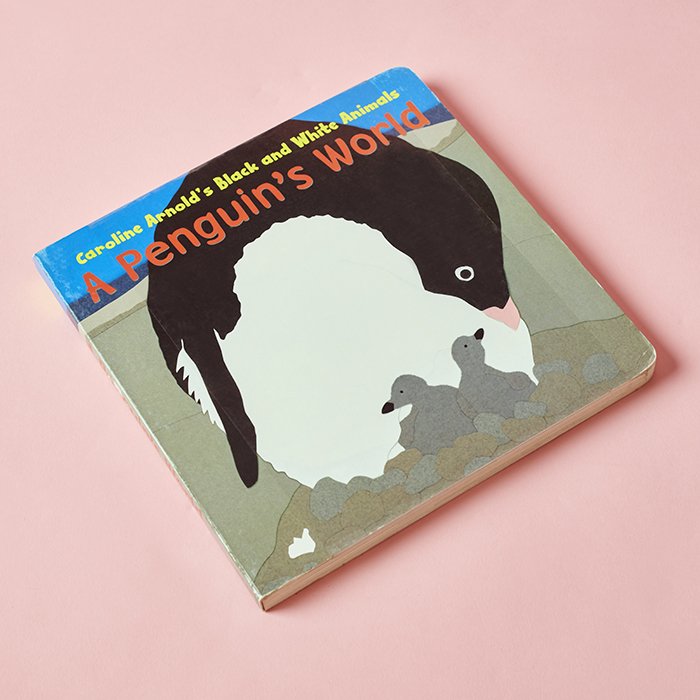 A Penguin's World