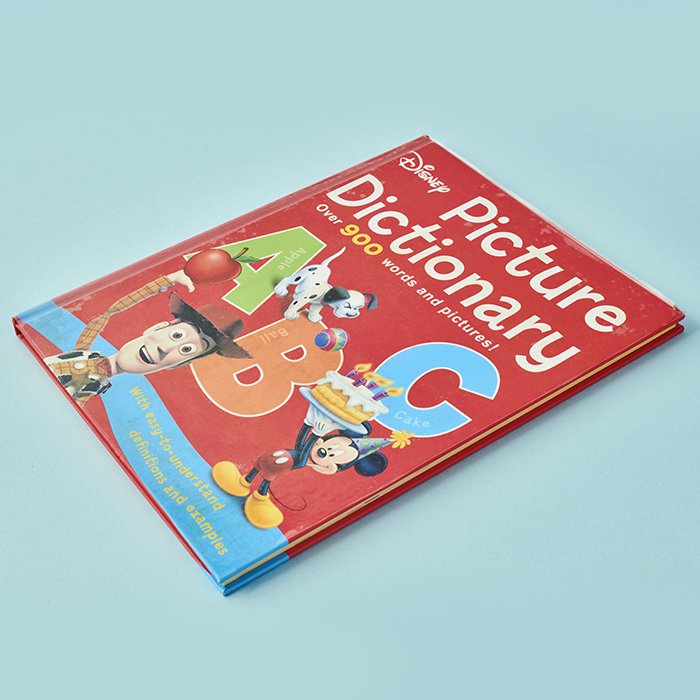 Disney Picture Dictionary