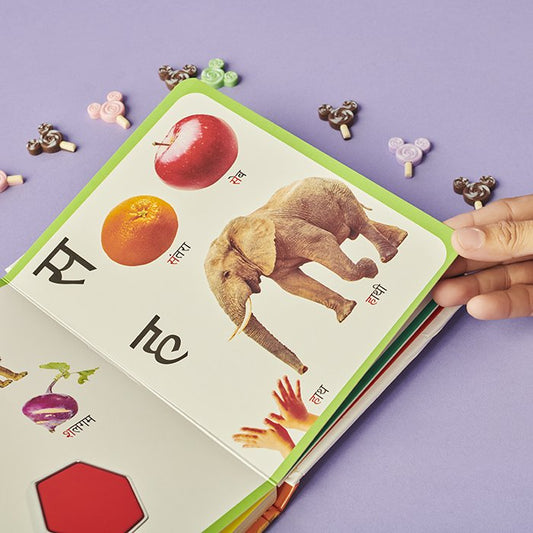 Meri Pehli Pustak Ka Kha Ga (Hindi) (Padded Board Book)