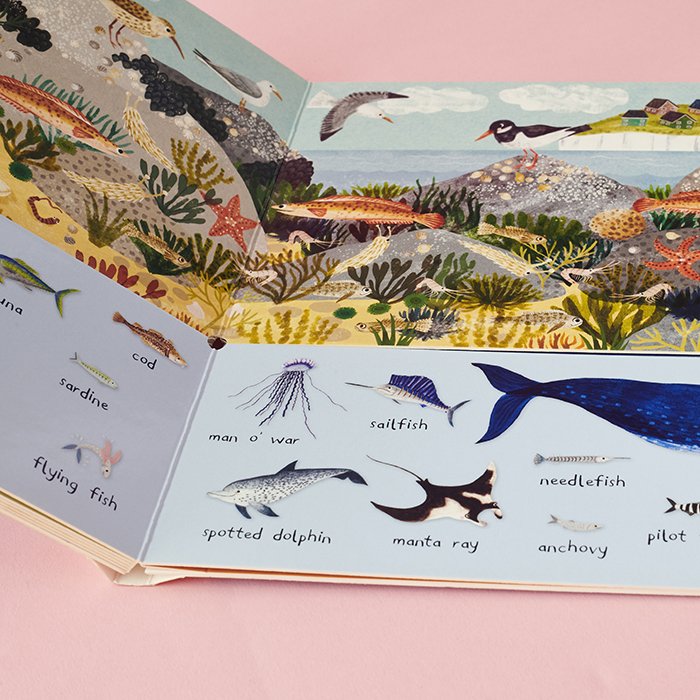 There are  101 Sea Creatures in this Book