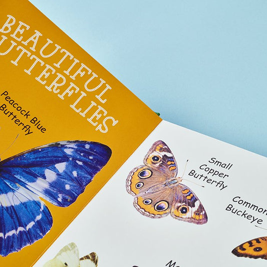 My First Book of Creepy Crawlies
