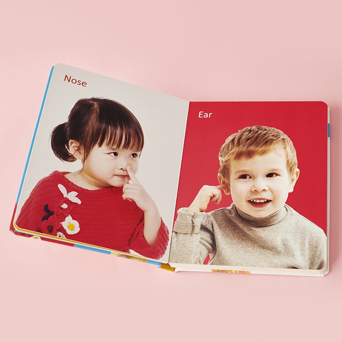 MY FIRST BOOK OF THE HUMAN BODY (PADDED BOARD BOOK)