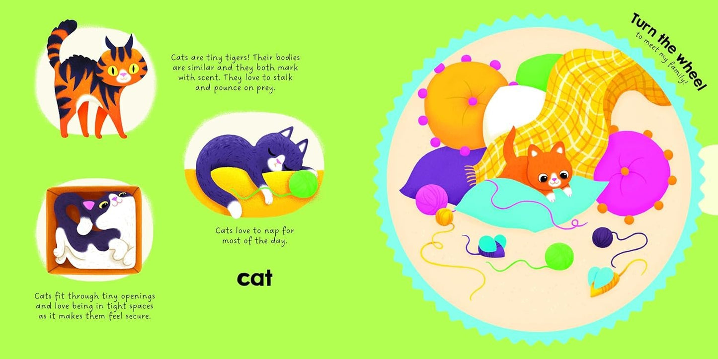 My Magic Wheel: Animals Around Me