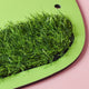 Dino Sensory Wall Painting