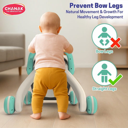 Happy Feet Baby Walker